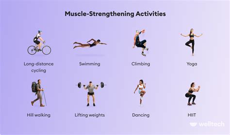 What is Muscular Strength in Physical Education: A Dive into the Core of Physical Fitness